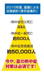 2010年夏、猛暑による全国統計